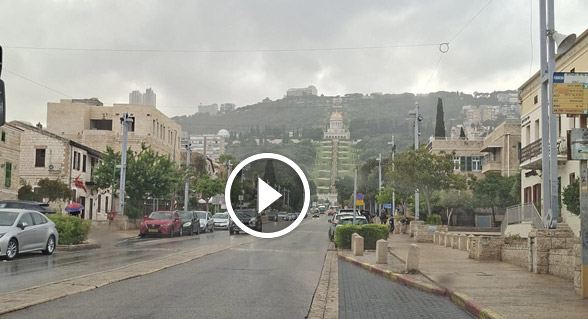 صورة الخبر