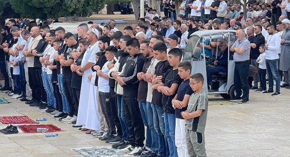 صورة الخبر