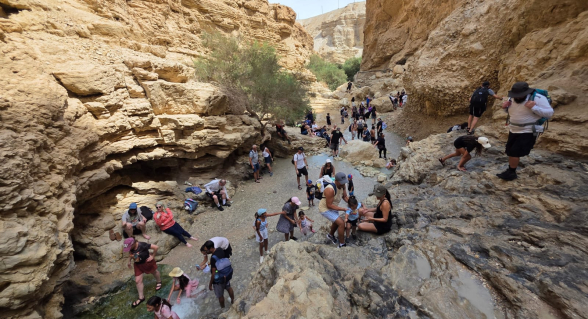 صورة الخبر
