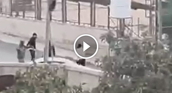 صورة الخبر