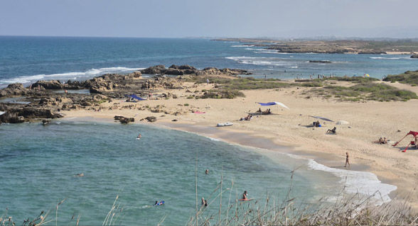 صورة الخبر